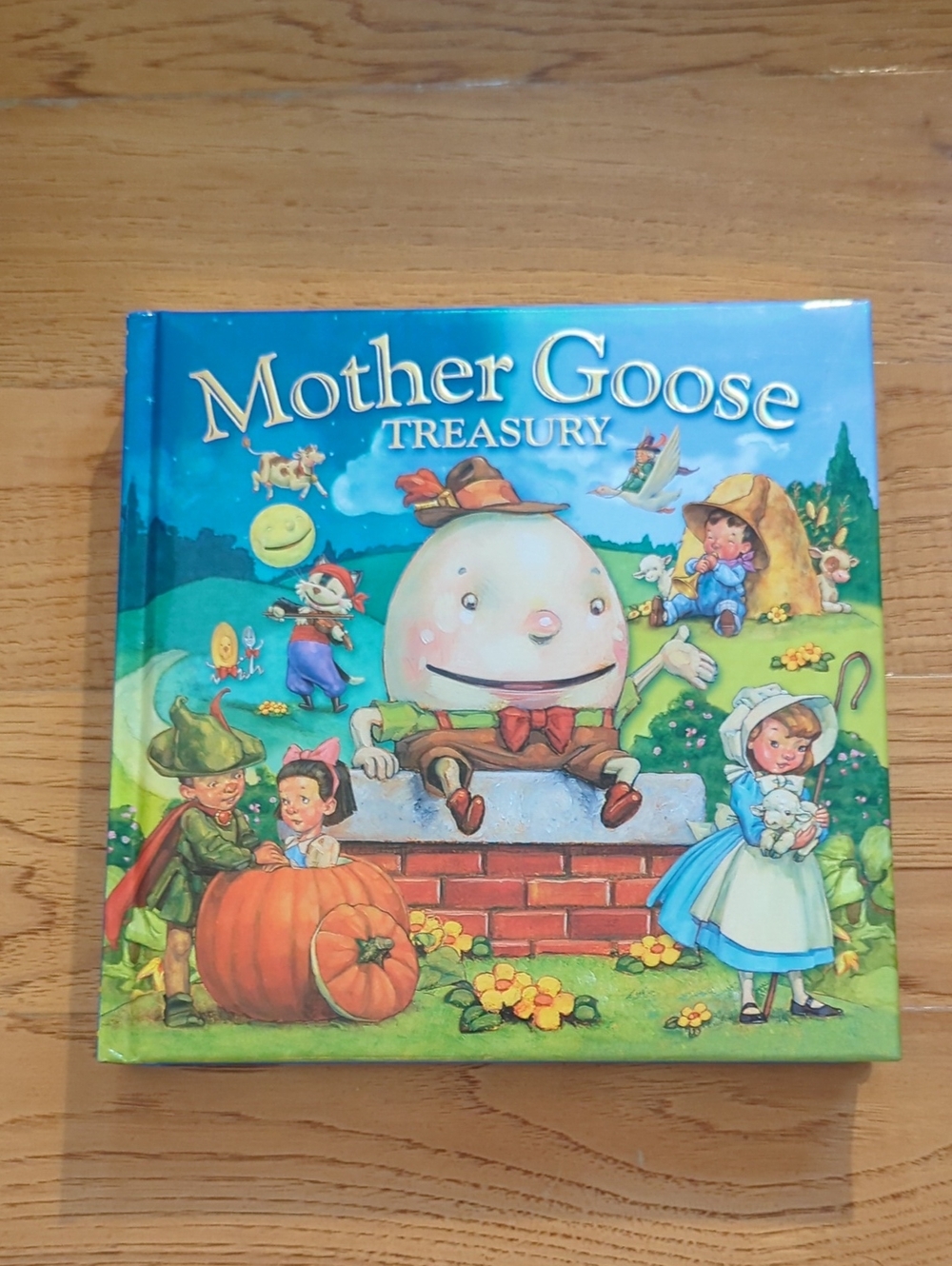 Mother Goose Treasury Children's Book - Colorful Illustrated Cover
